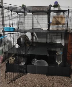 jaula-interior-para-conejos-dos-pisos