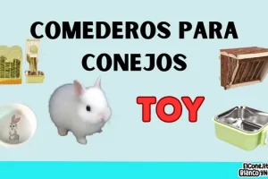 Comederos para Conejos Toy